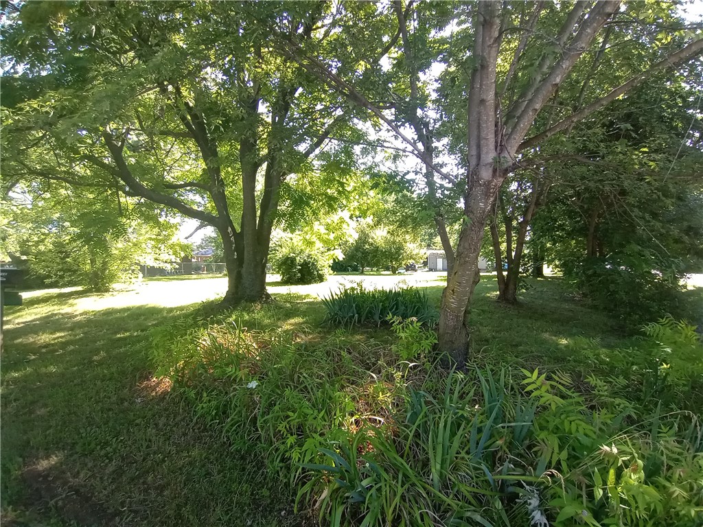 Old Orchard - Land