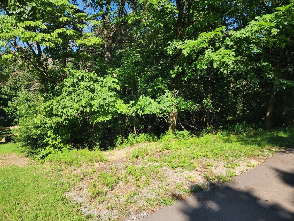 Nestled in a peaceful corner of Bella Vista, this .33acre lot is perfectly positioned between Lake Rayburn, Lake Ann, and Lake Brittany, about .75 miles to each, perfect for a variety of lake access. Just about half a mile from Back 40 Trail access and minutes from Metfield Recreational complex, this lot is ideal for those who love both outdoor adventure and community amenities. Enjoy nearby mountain biking, hiking, golf, and more, all while being tucked away on a quiet, paved street just before the cul-de-sac. This lot offers a great opportunity to enjoy the best of Bella Vista living with easy access to recreation, nature, and convenience. This property comes with membership to the Bella Vista POA. For a full list of amenities, visit BellaVistaPOA.com & BellaVistaAR.gov.