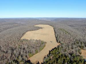 Rare opportunity to own a large piece of property near the Buffalo National River Over 60 acres of pasture. One of the fields has an amazing 360 degree view! This would be a great property for someone who is wanting some livestock or horses and still have a bunch of room to play. Signs of bear, deer, and hog in the hardwood forest. There is a seasonal waterfall and even a cave on the property. If you are looking for a large piece of the property near the Buffalo National River, this is it.