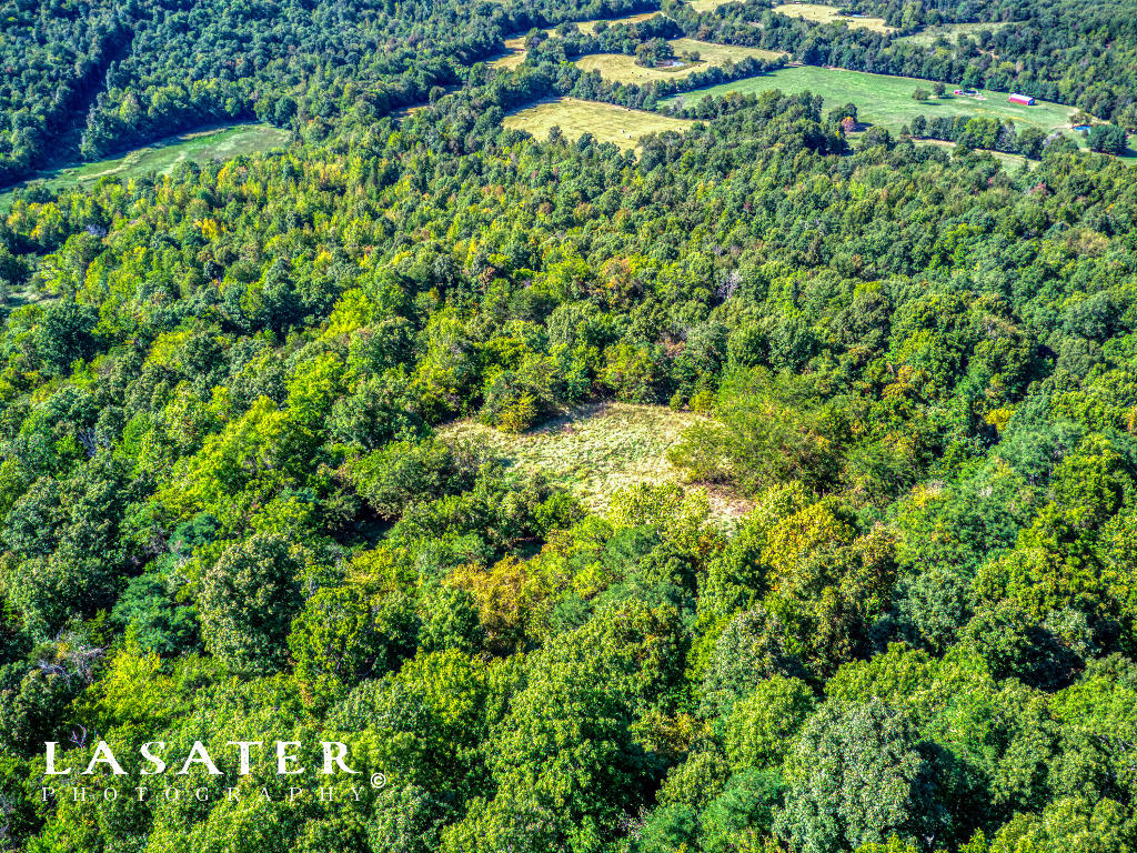 Over 100 acres m/l of secluded land on Gaither Mountain! Off the grid living, but still close to town. Abundant wildlife, an old building site, and a horse corral in need of some TLC, the possibilities on this property are endless.