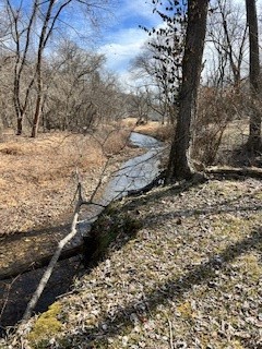 Little Flock - Residential