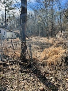 Little Flock - Residential