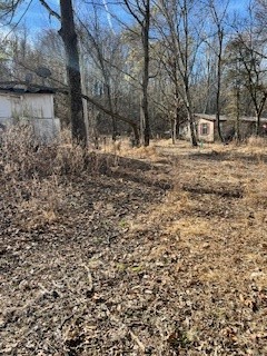 Little Flock - Residential