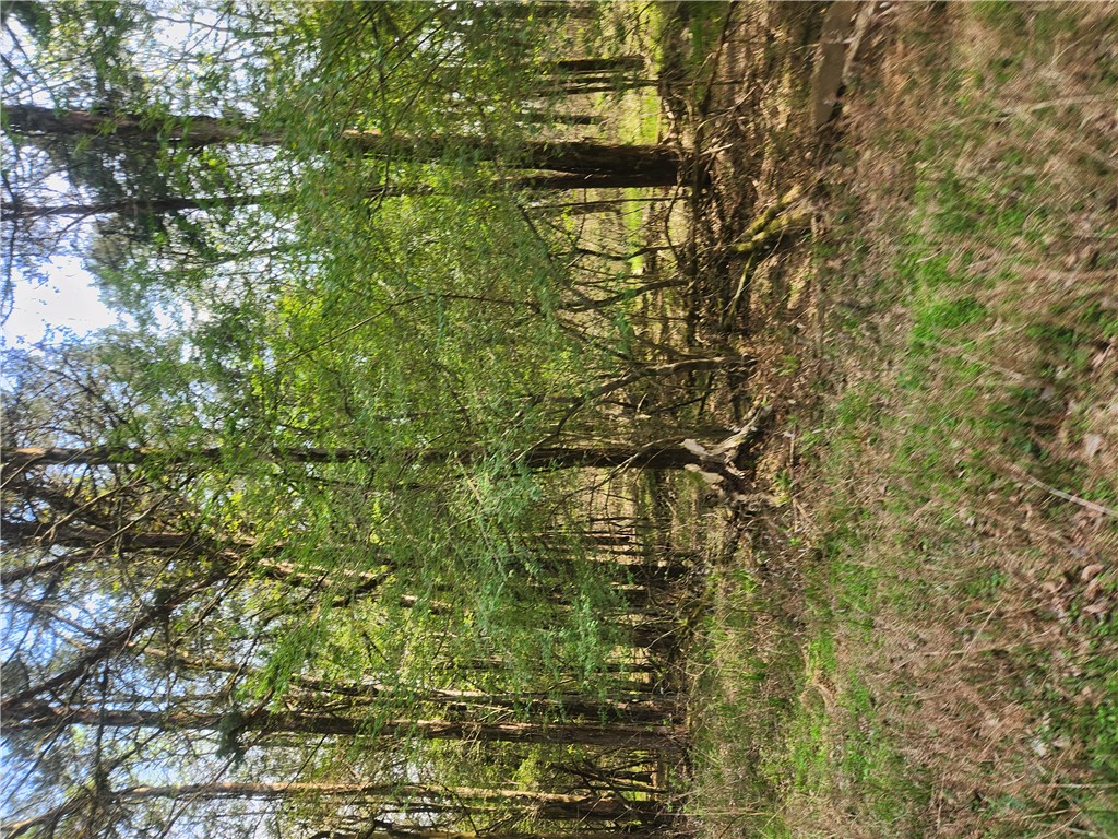 ozark country estates - Land