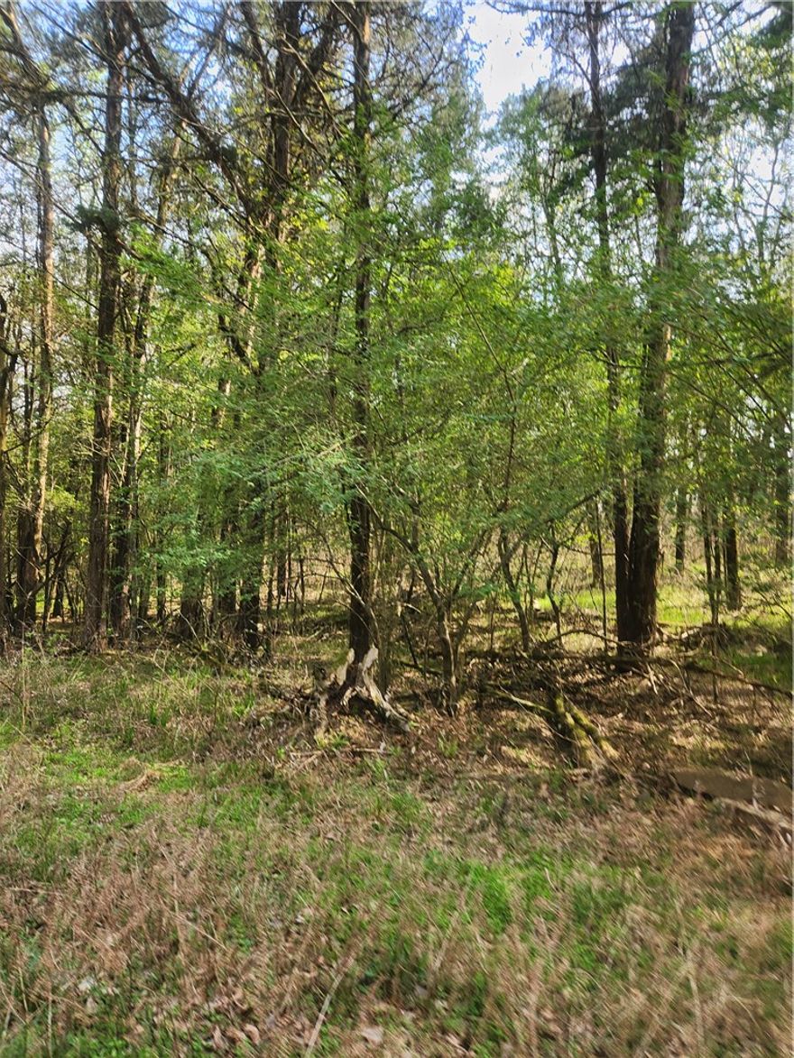 Beautiful wooded land ready to become the setting for the home of your dreams! Beautiful mature forest with a spot for you to build already cleared. This is a hard to find 6.3 acre m/l tract that is close to town, yet offers lots of privacy in a great area!