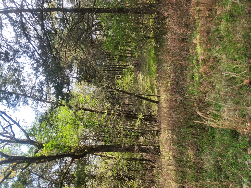 ozark country estates - Land