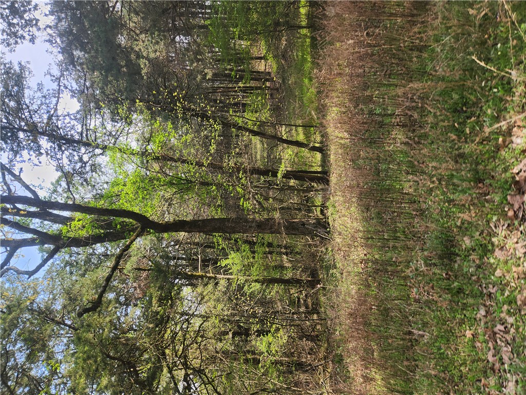 ozark country estates - Land