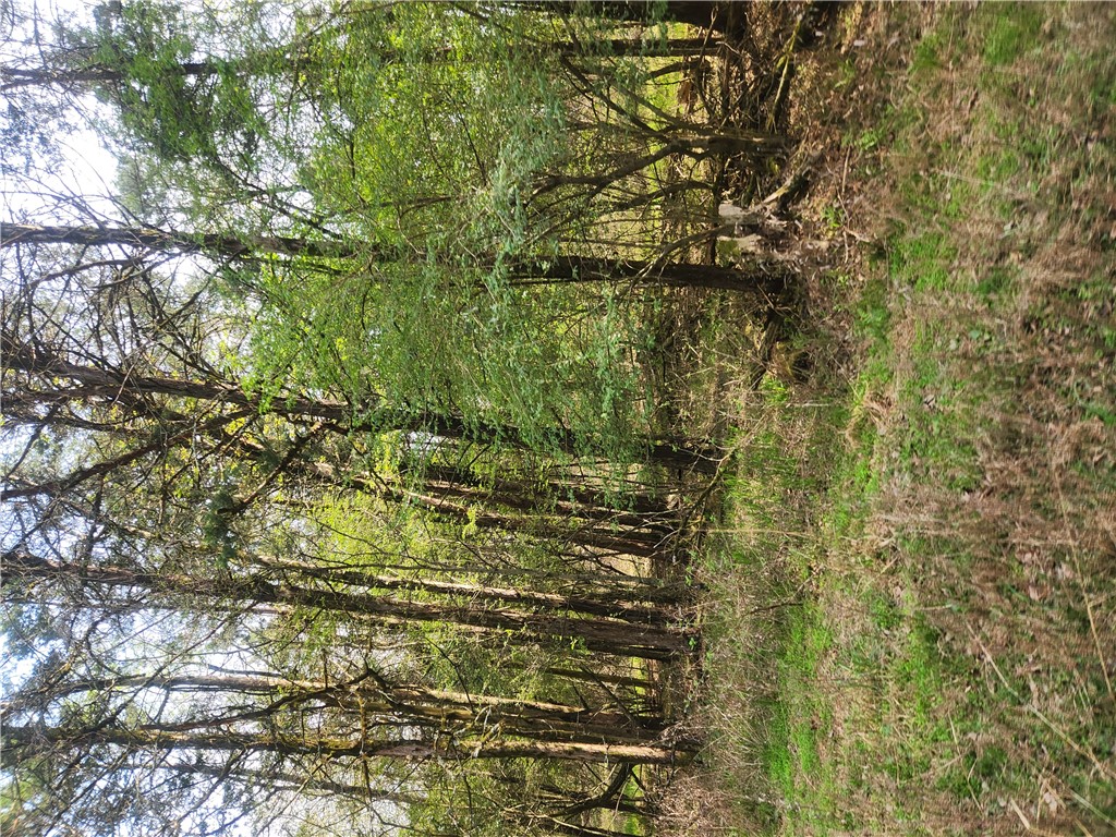 ozark country estates - Land