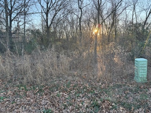 Rosenheath Sub Bvv - Land