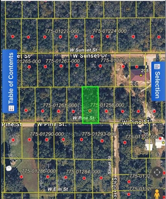 W PINE ST, LEAD HILL, AR 72644 - Image 7b779b0ffc2f1ffc5c9ad265dcfe89ac/3296426426