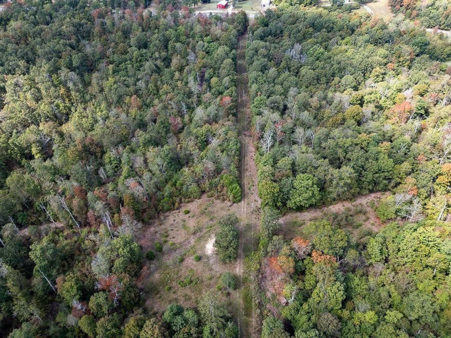 Hunt it, build on it, or simply enjoy it 60+/- acres of rolling hardwoods with a spring-fed, year-round creek—private, accessible, and ready for your vision.Whether you’re looking for a weekend retreat, a hunting property, or the perfect spot to build a cabin, this tract checks every box. Unlike most recreational land, it already has the essentials in place: a deep well, septic, and high-speed fiber internet. 
Property Highlights:
-60 acres of mature hardwood timber 
-Spring-fed, year-round creek 
-Rolling terrain with natural food plot openings 
-Excellent deer & turkey hunting habitat 
-Trails throughout for easy access 
-Deep well, septic tank, and fiber internet in place 
-Highway frontage, but secluded once inside 

 A rare blend of natural beauty and modern convenience—ready for your outdoor lifestyle.
