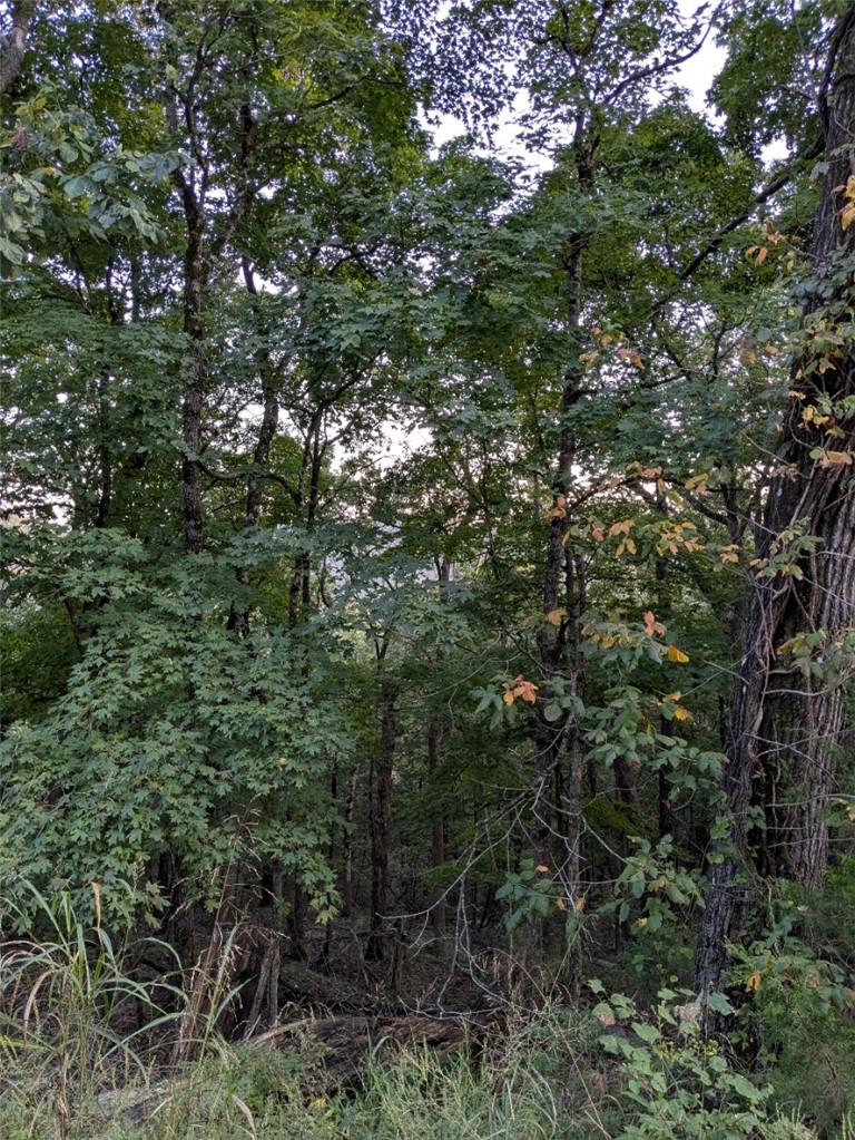 Unit 5 Holiday Island - Land