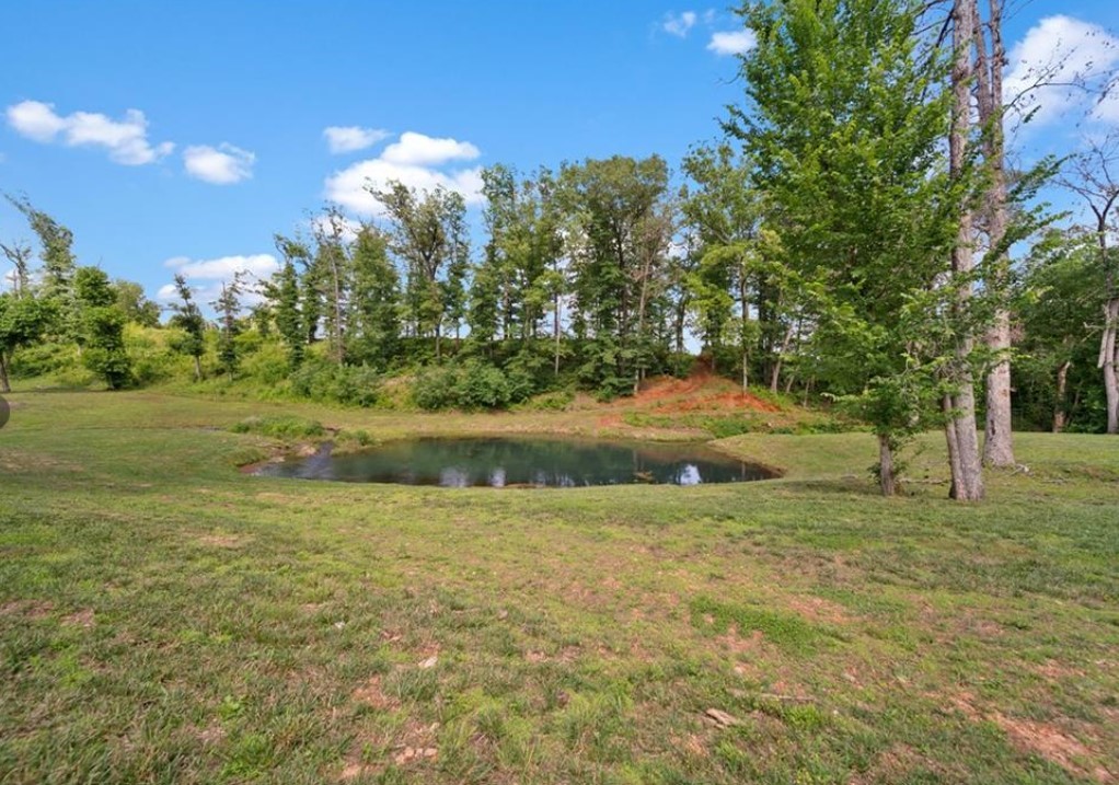 Healing Springs - Residential