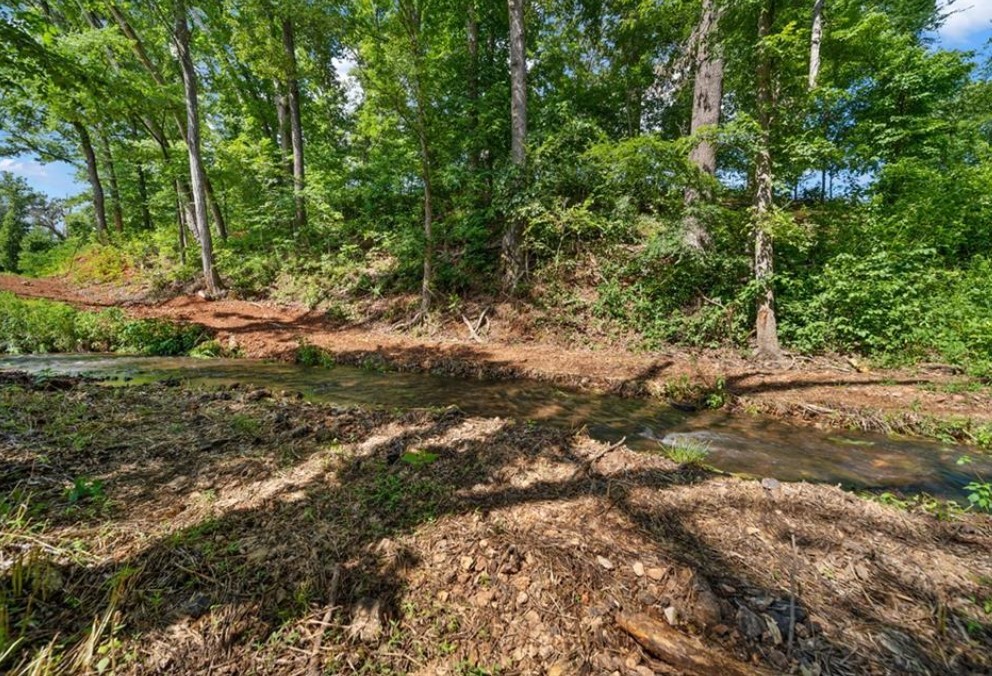 Healing Springs - Residential