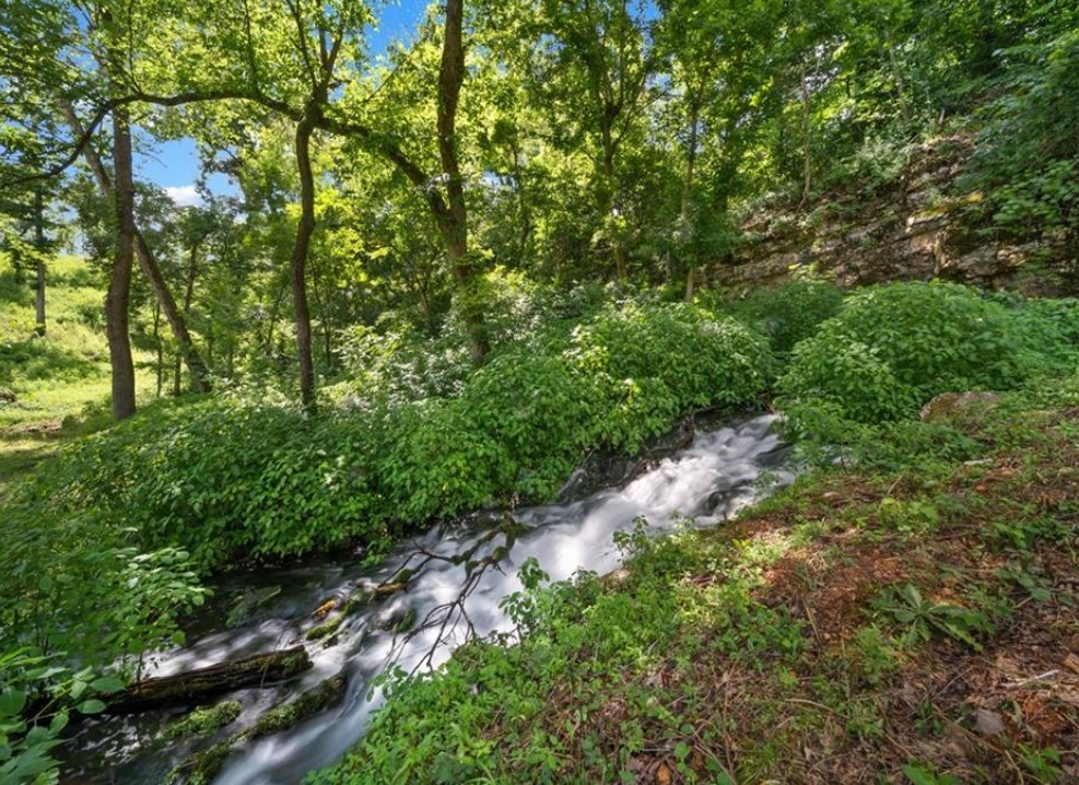 Healing Springs - Residential