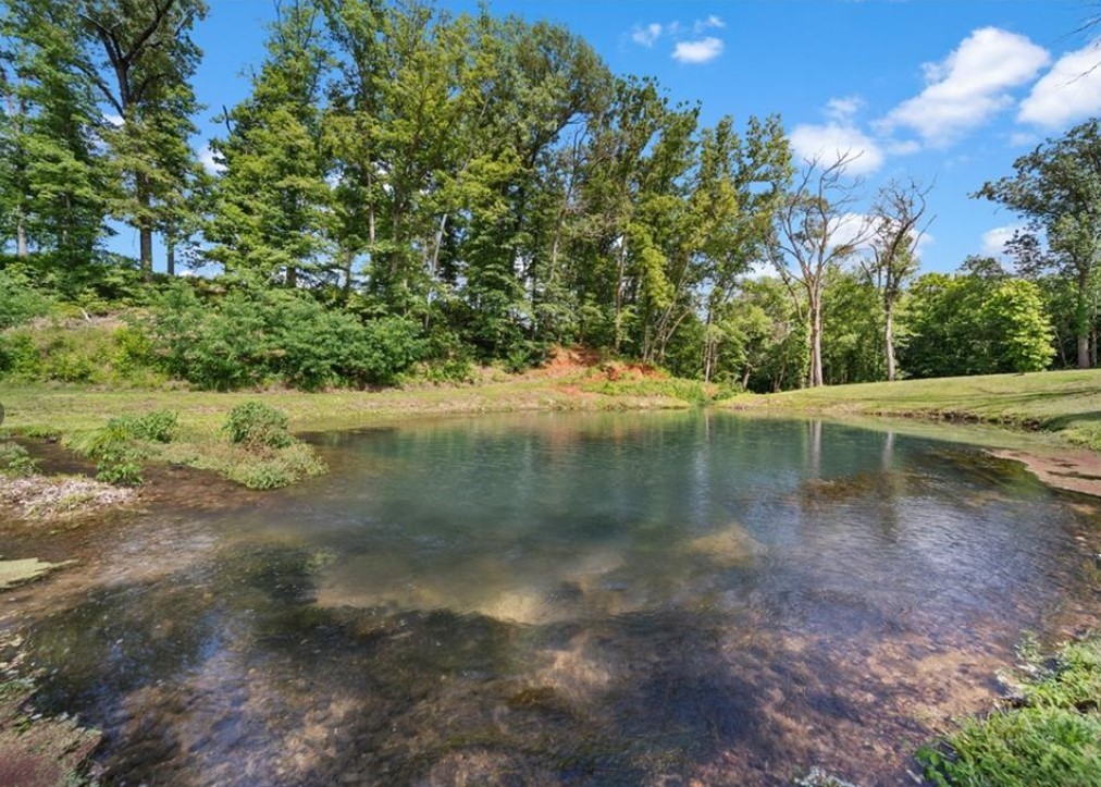 Healing Springs - Residential