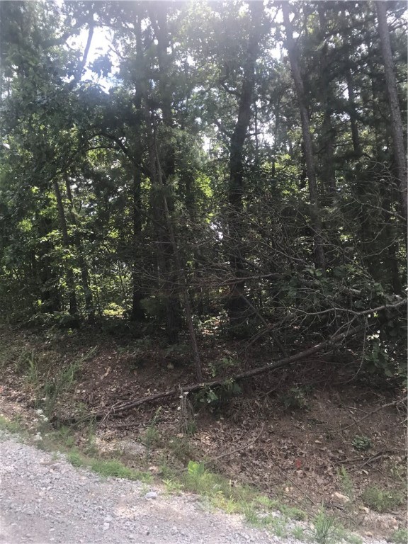 Come build your dream home! Awesome wooded lot located in a quiet a cul-de-sac. With easy to US-71B. Public sewer at street and electric at street.