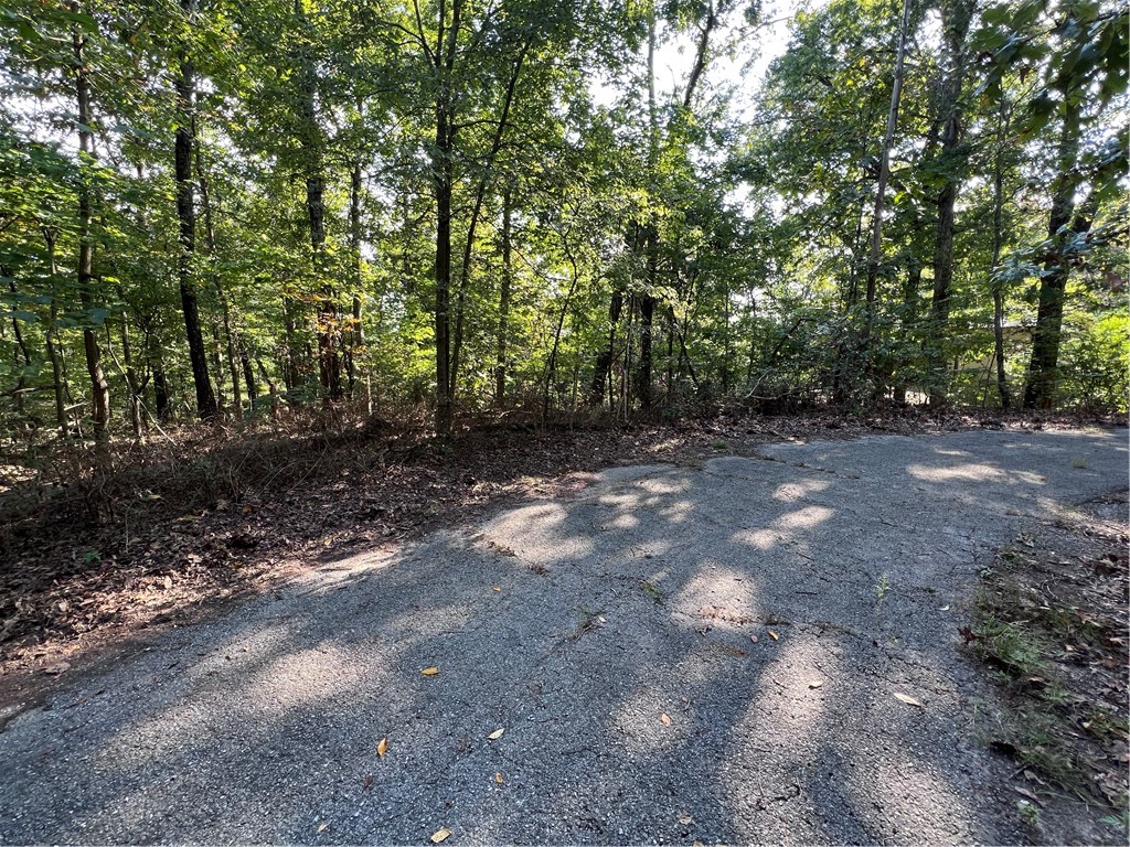 Buildable lot in the Highlands of Bella Vista! Surrounded by attractive new construction and established homes, this private cul-de-sac location offers easy access to Branchwood Recreation Center, paved and unpaved nature trails, Highlands Golf Course & Pub, and minutes away from Lake Loch Lomond and Stoneykirk Boat Launch. Just a short drive to Downtown Bentonville and I-49, youāll enjoy the perfect blend of convenience and natural beauty. Experience the active Bella Vista lifestyle with golf, lakes, trails, and resort-style amenities all year long.