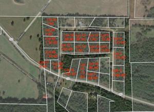 Perfect land for a real estate developer! 3 Lots in Bennent Orchard estates. Almost right across the street from the Nuke Plant. You won't find abetter place to build homes for yourself or to sell. Wooded lots lend great to privacy. You'll drive on pavement almost the whole way to the propertywith gravel road access to all lots. Don't miss this excellent opportunity!