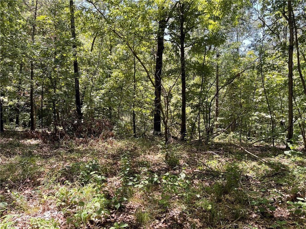 Your chance to own a great lot in Beautiful Bella Vista. Tunnel Vision trail is a stones throw away.