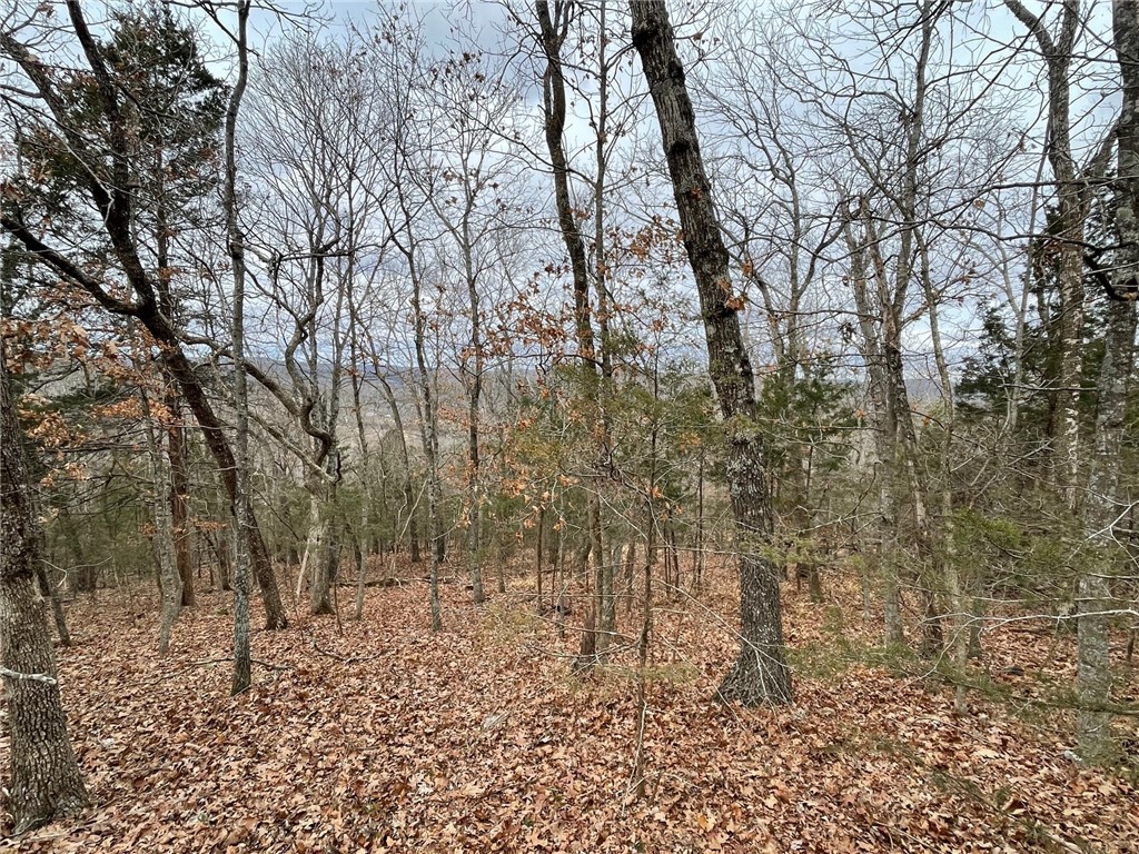 Wolfridge Estates #2,3,4 - Land