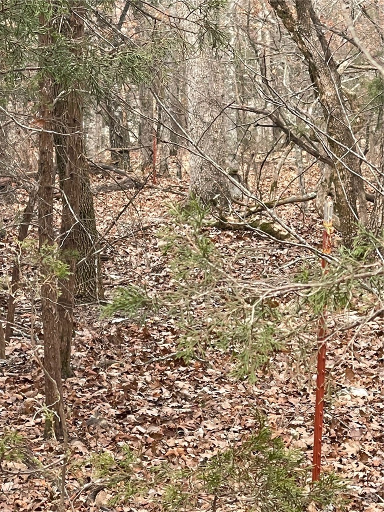 Wolfridge Estates #2,3,4 - Land