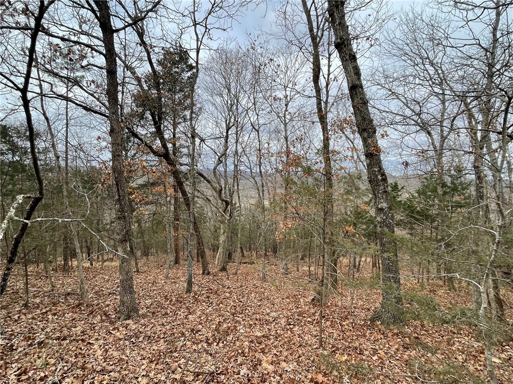 Wolfridge Estates #2,3,4 - Land