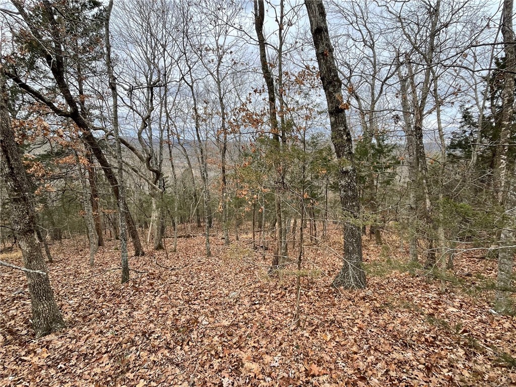 Wolfridge Estates #2,3,4 - Land