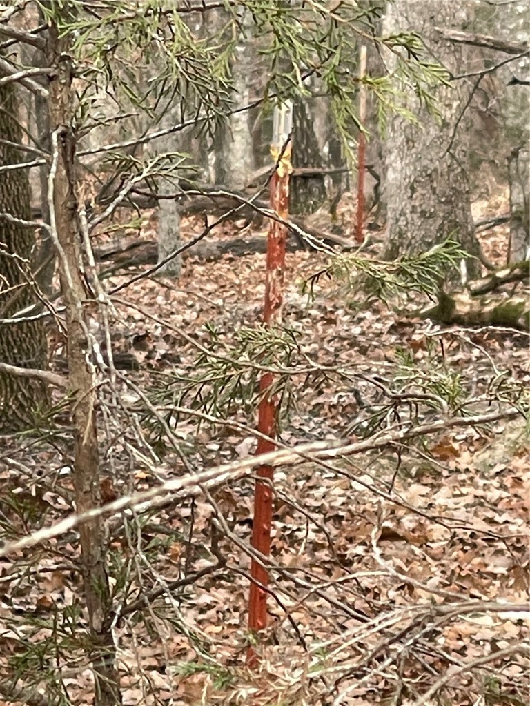 Wolfridge Estates #2,3,4 - Land