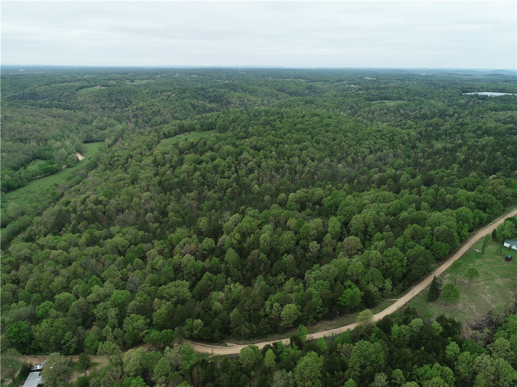 5.38 Acres of land located down a well-maintained dirt road and partially paved, ideal for building your dream home or for the avid hunter. This serene property offers privacy and seclusion. Please note that public water is not available, so a well will be required along with a septic system. Let your imagination run wild with the possibilities this land has to offer for your future home or recreational getaway.