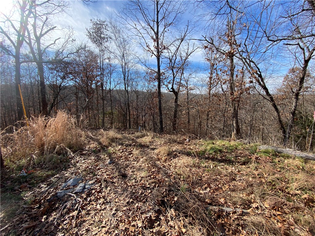 The perfect .33 acre lot with a stunning view is now on the market to build your dream home in a developing subdivision of Berkshire located in the Bentonville (Main) School District. Topography is wooded, level, and gently sloped. You will have access to the Summitt School Bike Trail entrance just around the cornerand the entrance to Lake Ann nearby. POA amenities include-108 holes of golf spread among seven golf courses, a golf range/practice center, seven private lakes, swimming pools, tennis, pickle-ball and basketball courts, miniature golf and playgrounds, walking trails, a gun range, an RV park and campground, and fitness and recreation centers along with other beautiful trails in Bella Vista. Convenient and perfect location!