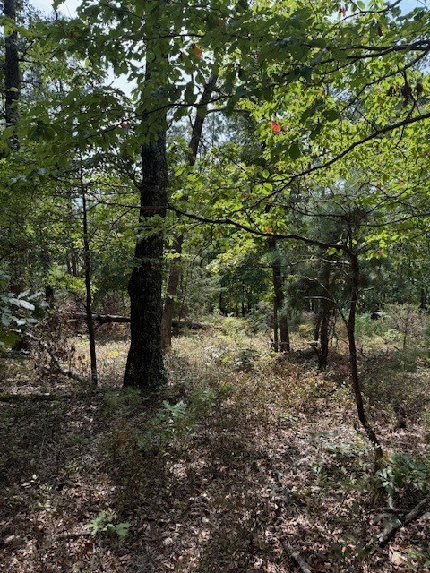 Rivercliff Park Rurban - Land