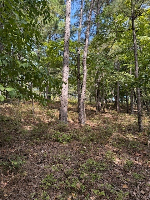 Rivercliff Park Rurban - Land