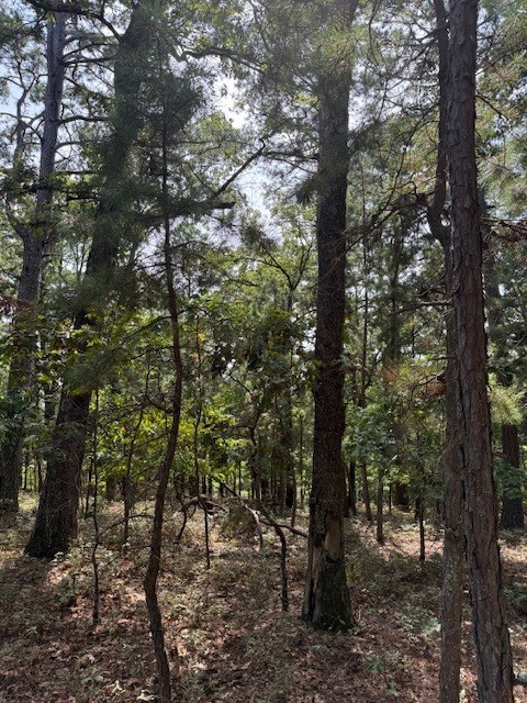 Rivercliff Park Rurban - Land