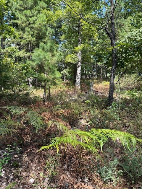 Rivercliff Park Rurban - Land