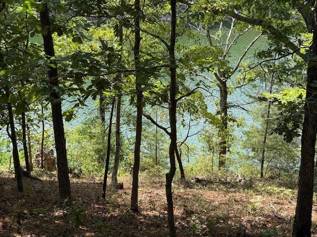 2.67 acres of beautiful, wooded lakefront land on stunning Beaver Lake! This is a wonderful spot to build your fishing cabin or forever home and enjoy fishing, kayaking, paddleboarding, or swimming at your leisure. The property slopes at a mild grade toward the lake frontage and there is room to put in ATV or hiking trails. Near the shore, you get water views, and the access is a bluff that you CAN maneuver in spots to get to the waterfront. A little work and your access can be greatly improved to create the perfect lakefront retreat! The adjourning .78-acre lot is also for sale.