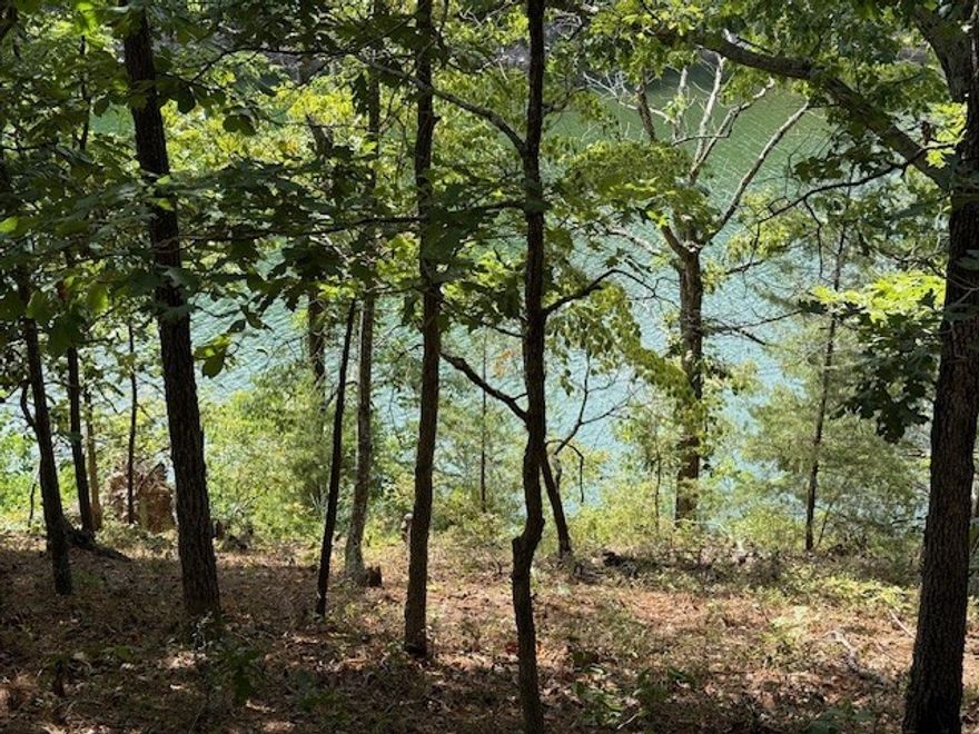 2.67 acres of beautiful, wooded lakefront land on stunning Beaver Lake! This is a wonderful spot to build your fishing cabin or forever home and enjoy fishing, kayaking, paddleboarding, or swimming at your leisure. The property slopes at a mild grade toward the lake frontage and there is room to put in ATV or hiking trails. Near the shore, you get water views, and the access is a bluff that you CAN maneuver in spots to get to the waterfront. A little work and your access can be greatly improved to create the perfect lakefront retreat! The adjourning .78-acre lot is also for sale.