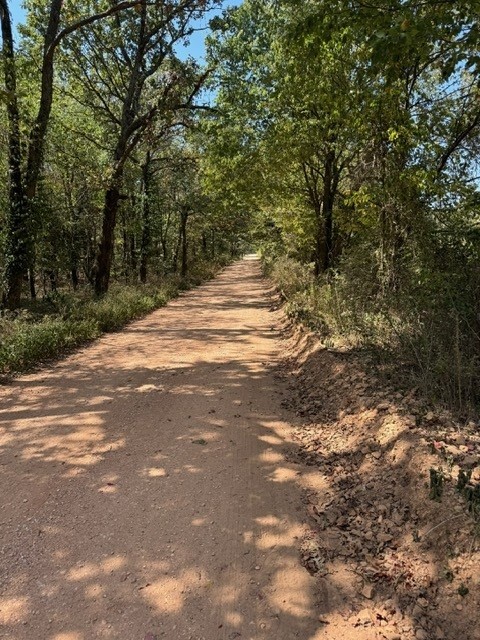 HARD to find Property like this - 60 foot Private Easement off Main County road ( Floyd Moore Road) with Ruel Water & Electricity at the Street ,Hard Woods With A South View & 3 Minutes to Hwy 59 Benton County . NO deed Restrictions , Private 60 Foot Easement back to the 9.10 acres surrounded by Large tracts of land .