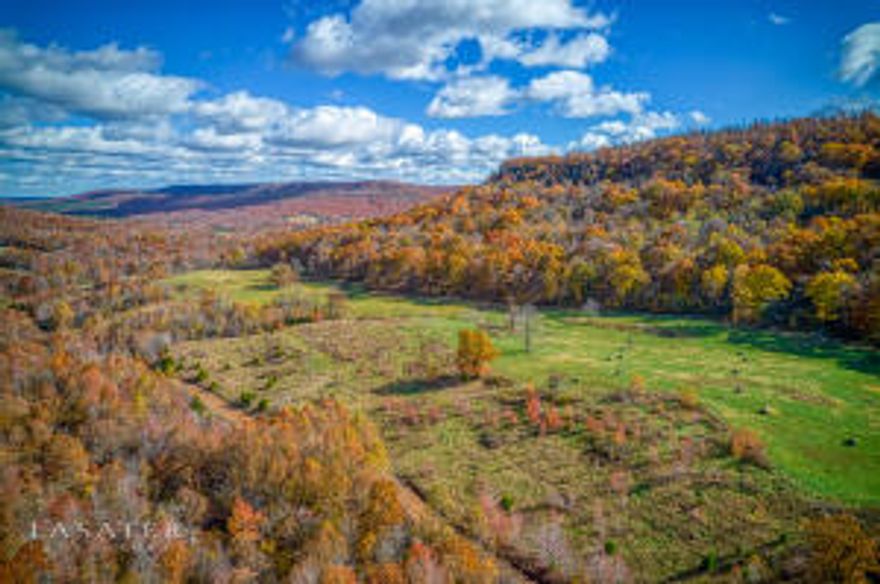Enjoy the panoramic views of Piney Mountain from this beautiful 138 acre property with over 1,000ft of Terrapin Creek frontage. It's surrounded by beautiful bluff lines, a great mixture of pasture and woods, a pond, and multiple building sites, all with incredible views.