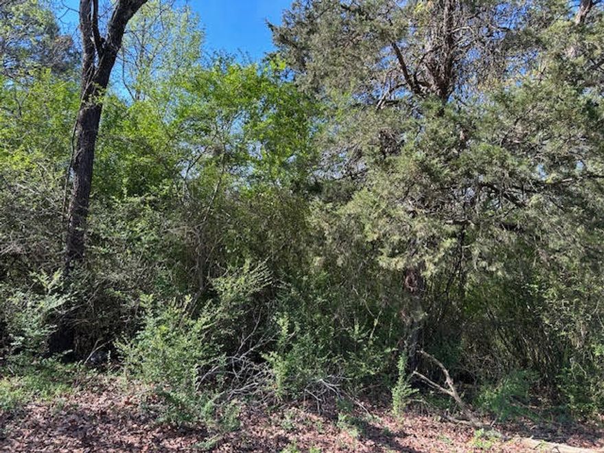 1+/- acres of mixed raw land.