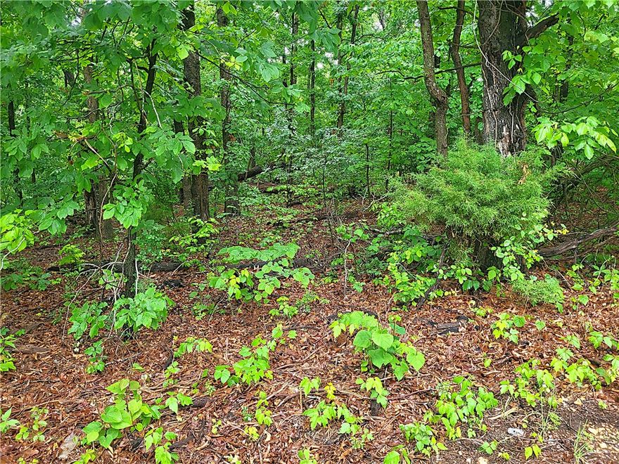 Nice buildable corner lot on paved roads. Lots of mature trees. Located on a quiet street less than 1-mile from the Back 40 and Sbat Trail Head.