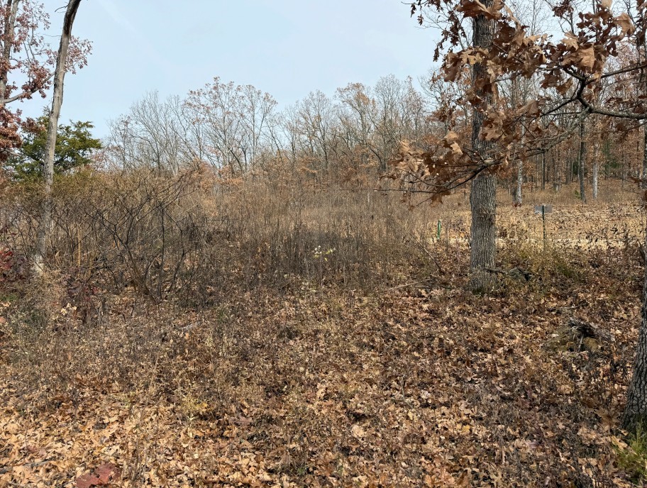 Round Mountain Estates - Land