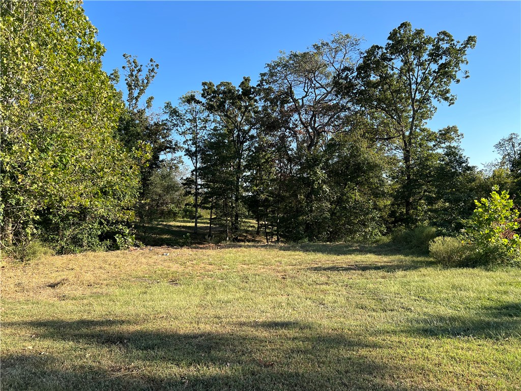 Come see this beautiful, wooded, 1 acre lot in the highly sought after Pepper Hill Estates. It’s one of the last buildable lots currently available in this neighborhood. Curb and gutter with some dirt improvements already complete. 2500 minimum building square feet per the covenants. Agent owned.