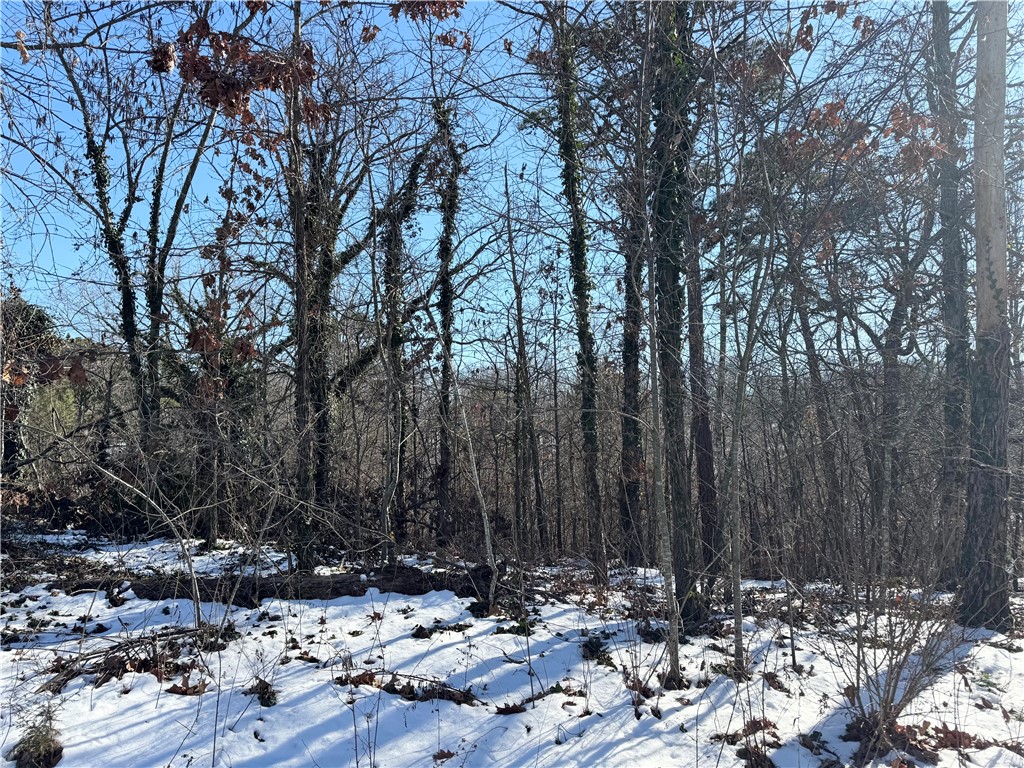 Cheshire Sub Bvv - Land