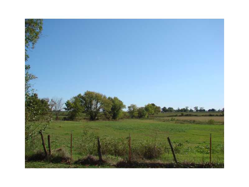 Gorgeous flat acreage, pond, Fenced and cross fenced. Home built in late 1800's conveys as-is, no repairs will be done by seller. Outbuildings, RV/mobile homesite. 2 older chicken houses. Good well serviced home & 2 chicken houses at one time per seller