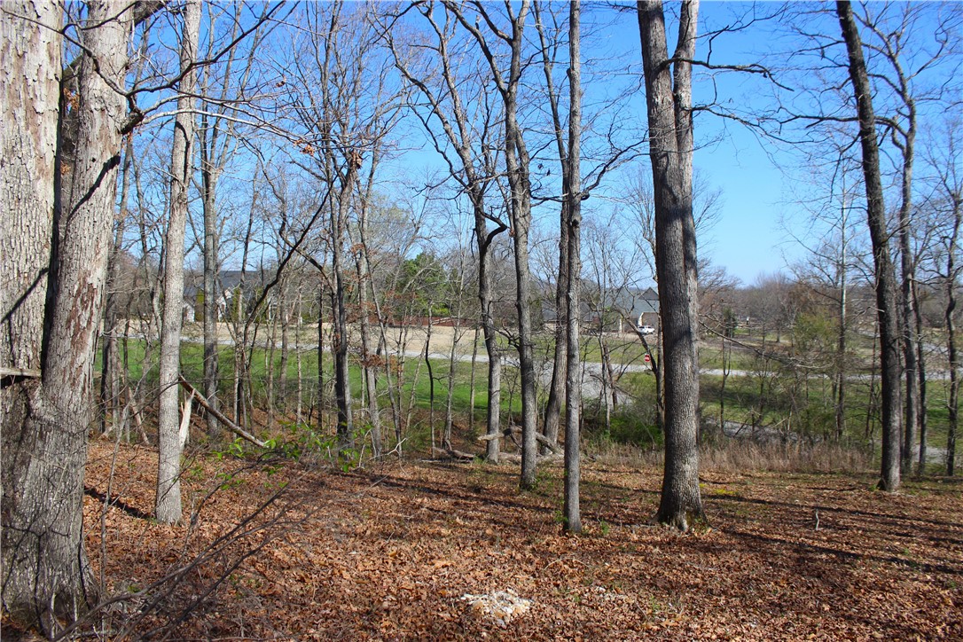 Bridlewood Sub Ph I - Land