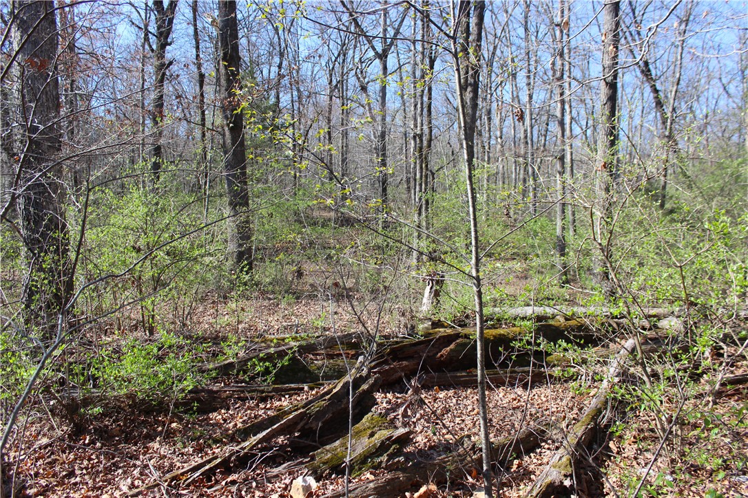 Bridlewood Sub Ph I - Land