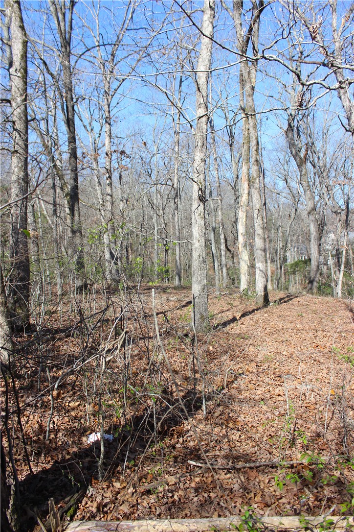 Bridlewood Sub Ph I - Land