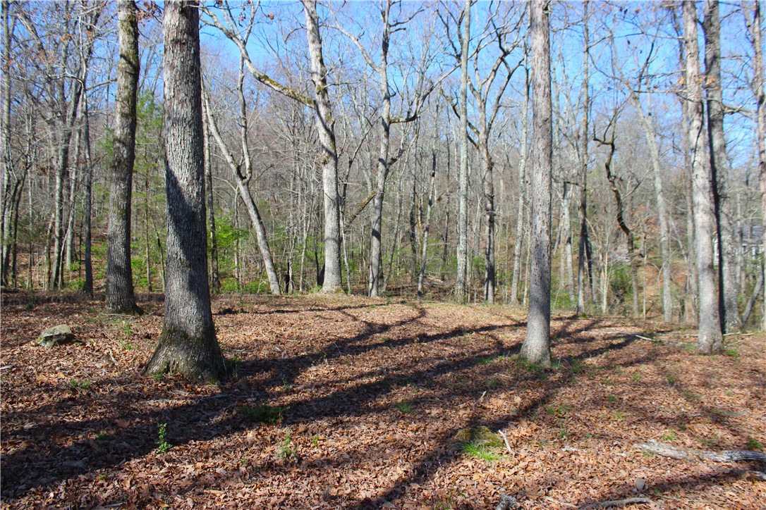 Bridlewood Sub Ph I - Land