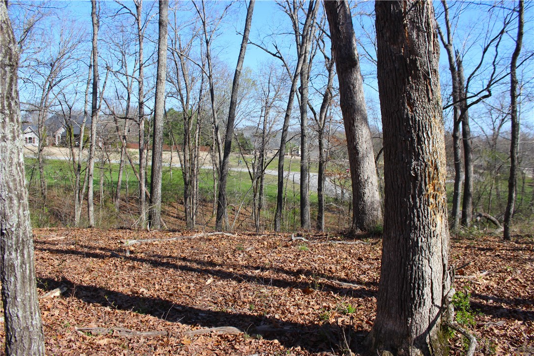 Bridlewood Sub Ph I - Land